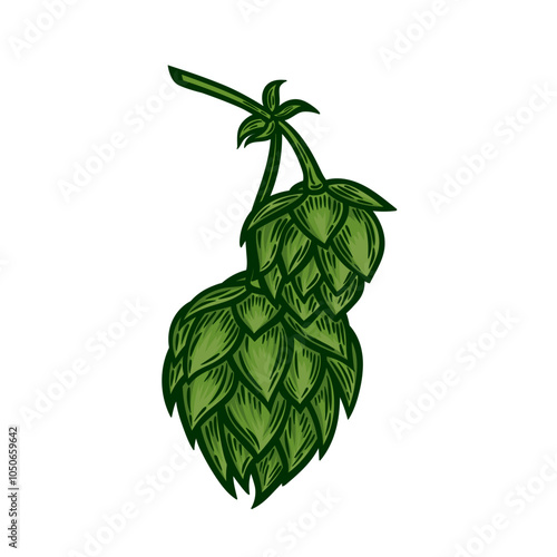 Hops in the style of line drawing.