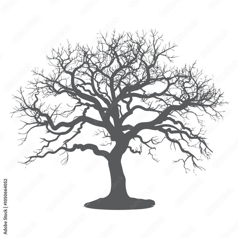 Fototapeta premium Detailed tree silhouette Isolated on a white background