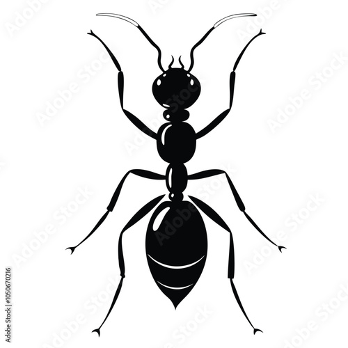 An ant silhouette vector with a white background