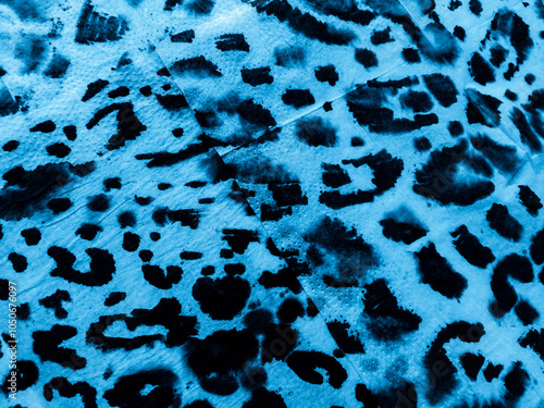 Background Texture Leopard. Sky Jungle Animal