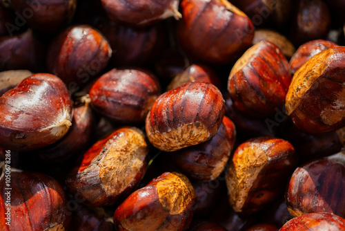 Chestnuts close up - raw sweet chestnuts sun shining on them. Freshly picked sweet chestnut photo