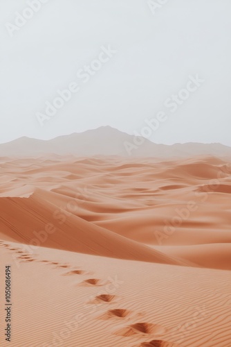 Footprints In The Desert: A Striking Landscape