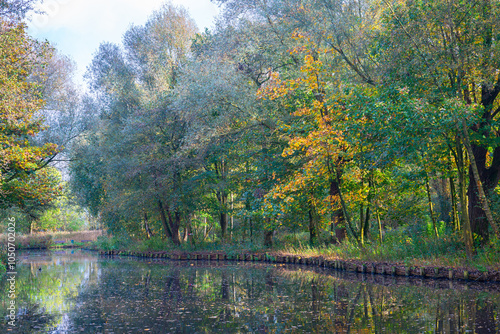 Nice view of trees along the waterfront of a pond in recreation area Gouwebos between Waddinxveen and Boskoop, Netherlands. photo