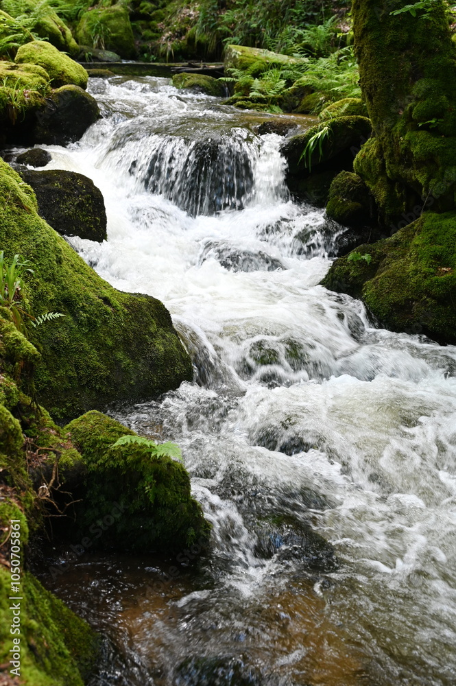 Gertelbachfaelle im Schwarzwald Gertelbachfaelle im Schwarzwald