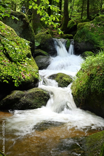 Gertelbachfaelle im Schwarzwald photo