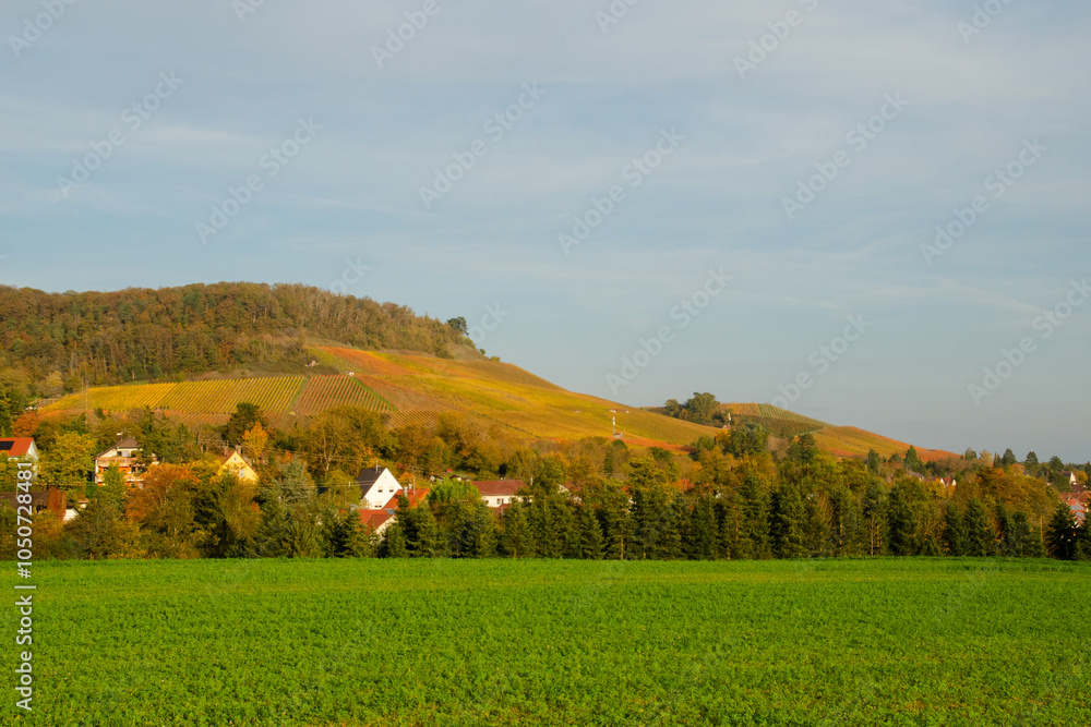 landscape in autumn