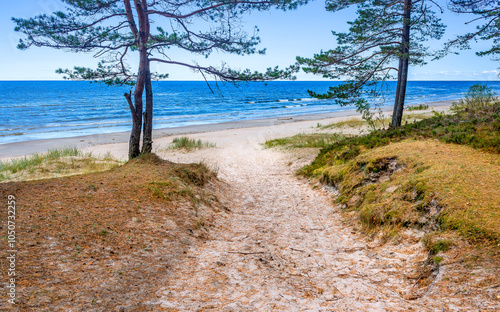 Sandy beach and dunes in Jurmala - famous tourist resort and recreational pla...