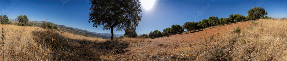 A tranquil and serene landscape featuring a solitary tree set against a clear blue sky A tranquil and serene landscape featuring a solitary tree set against a clear blue sky