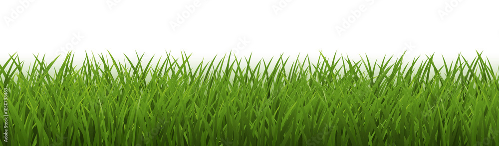 Obraz premium Green Grass Border With Isolated White