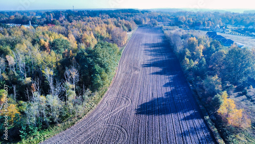 view of the field