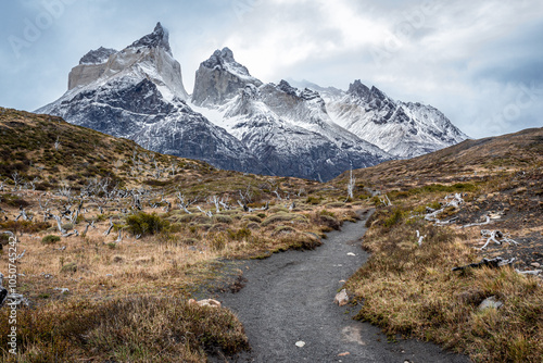 Landscape in Torres del Paine National Park - Chile - Patagonia