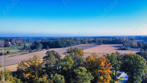 landscape with trees