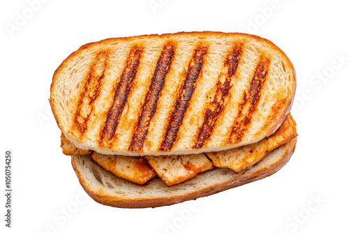 Grilled sandwich with perfectly toasted bread. photo