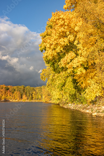 autumn landscape with trees