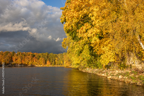 autumn landscape with trees