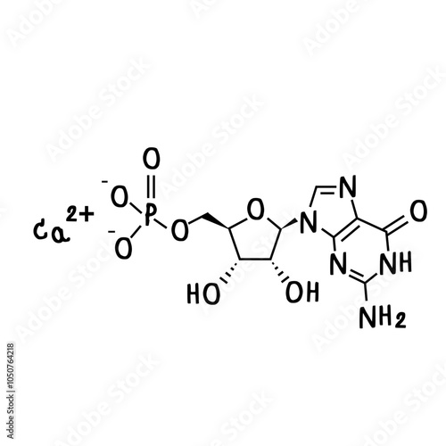 chemical structure of Calcium Guanylate.svg