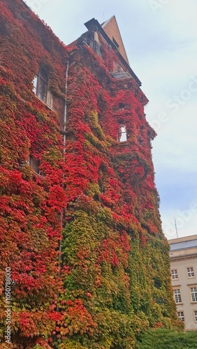 In the photo, there’s a cozy house covered with red autumn leaves. The leaves wrap around the walls, creating a warm autumn atmosphere, softly lit by sunlight, adding a cozy feel.