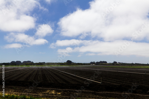 Agricultural Fields Dirt And Green Plants Under Blue Sky