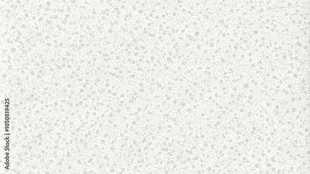 Fototapeta premium White noise texture pattern paper white texture background