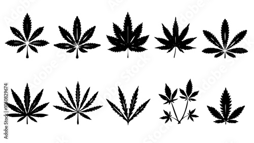 black and white floral