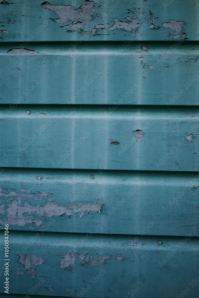 Fototapeta premium old metal door texture 