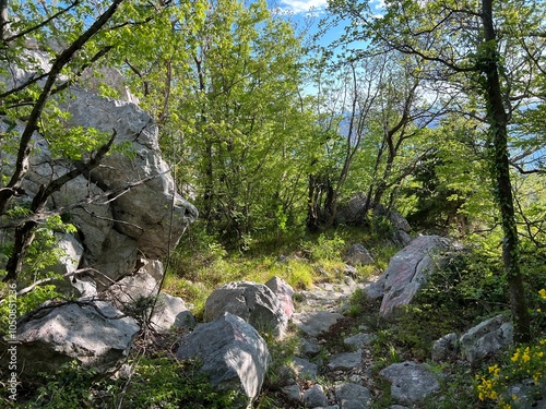 Mountaineering trails on Velebit and in Paklenica National Park (Starigrad, Croatia) - Bergsteigerwege auf dem Velebit und im Nationalpark Paklenica (Kroatien) - Planinarske staze na Velebitu photo