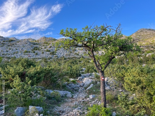 Mountaineering trails on Velebit and in Paklenica National Park (Starigrad, Croatia) - Bergsteigerwege auf dem Velebit und im Nationalpark Paklenica (Kroatien) - Planinarske staze na Velebitu photo