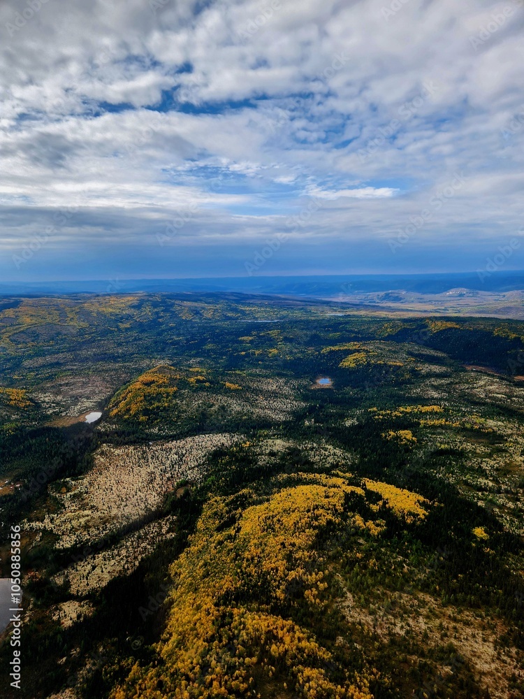 Fototapeta premium View from a plane, canada landscapes, forests, nature lovers, outdoors, mountains