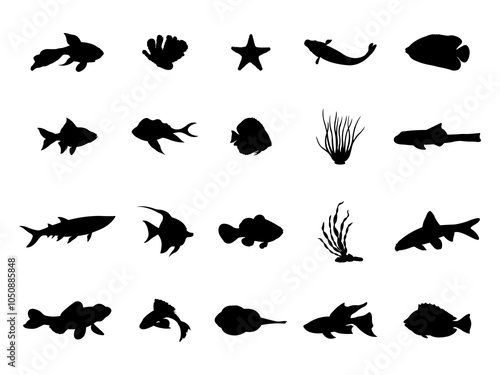 Set of Algae Fish Silhouette in various poses isolated on white background