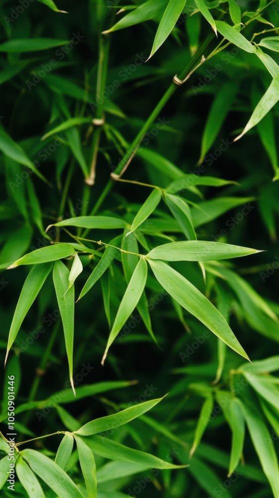 Naklejka premium 自然をテーマにしたデザインと環境に優しいコンセプトのための青々とした竹の葉