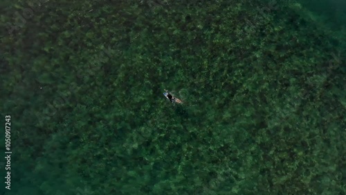 An aerial view shows a person swimming with a surfboard in a clear, greenish body of water at Aguadilla Beach in Puerto Rico.