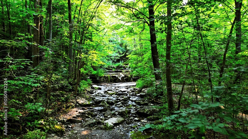 Fototapeta premium Measuring The Journey II