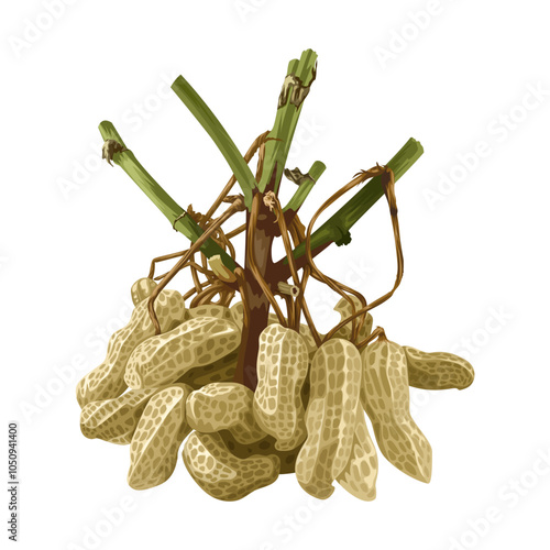 Illustration of a bunch of peanuts, isolated on white background.