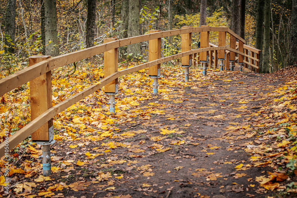 A forest pathway lined with a wooden railing, surrounded by autumn foliage. Yellow leaves cover the ground, creating a picturesque and serene outdoor scene. A forest pathway lined with a wooden railing, surrounded by autumn foliage. Yellow leaves cover the ground, creating a picturesque and serene outdoor scene.