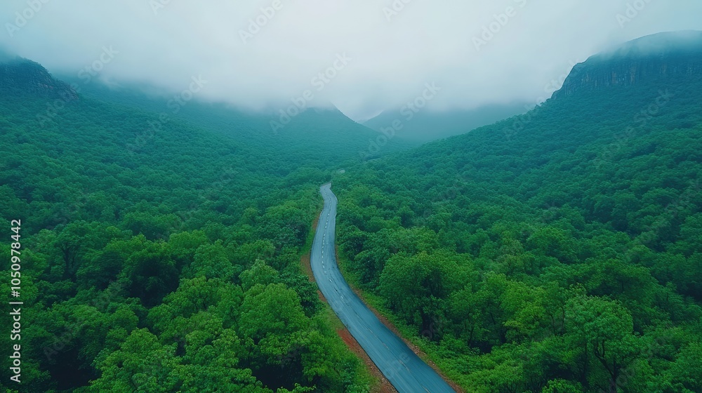 Aerial view of road through forest. Perfect for travel, nature, and adventure themes. Aerial view of road through forest. Perfect for travel, nature, and adventure themes.