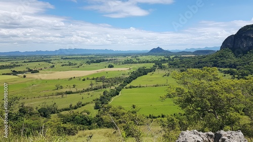 Lush Green Landscape Under Bright Blue Sky