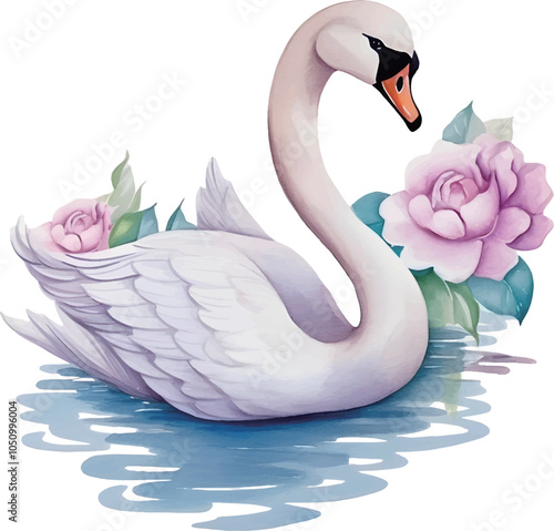 two swans on the water