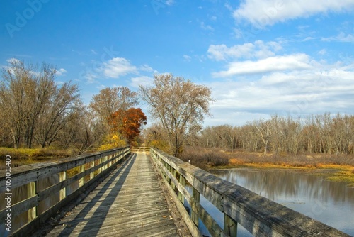 Sunny Autumn landscape of the Great River State Trail passing over a wooden boardwalk through a Mississippi River backwater in a colorful forest near Trempealeau, Wisconsin. photo