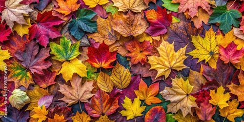 Wallpaper Mural A vibrant tapestry of autumn foliage, showcasing the spectrum of colors nature offers in the transition from summer to winter Torontodigital.ca