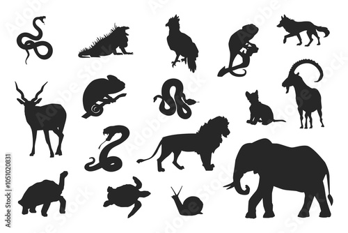 Animal silhouette. Set of black animal silhouette. 