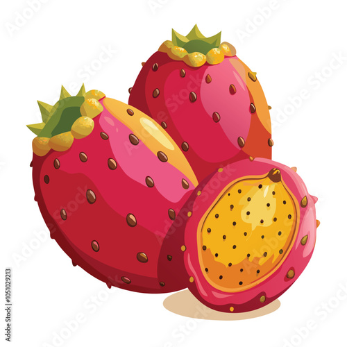 The prickly pear vector and illustration are isolated on a white background.