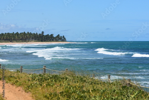 praia do forte bahia photo