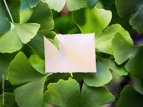 A note paper affixed to a tree branch, nestled among lush green foliage. Blank note card on vibrant green ginkgo leaves, perfect for nature-themed messages or eco-friendly branding. photo