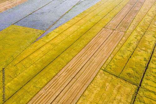 Wallpaper Mural background, lines drawn in the fields Torontodigital.ca