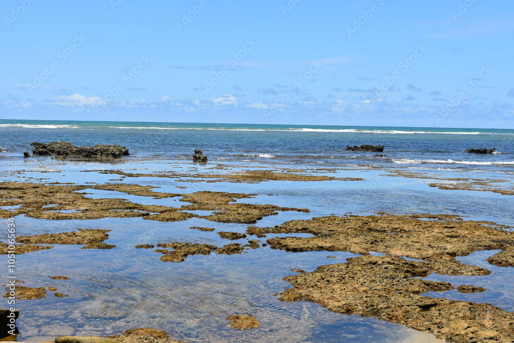 Fototapeta premium praia do forte - bahia