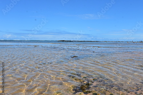 praia do forte - bahia photo