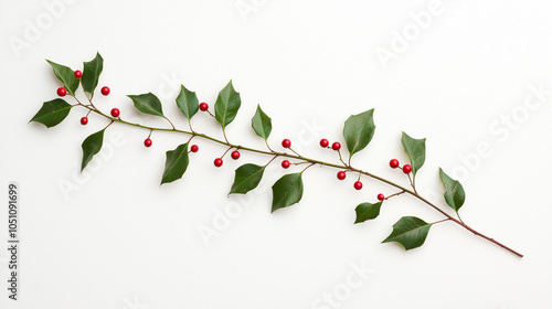 Winter Berries Branch: Eleg...