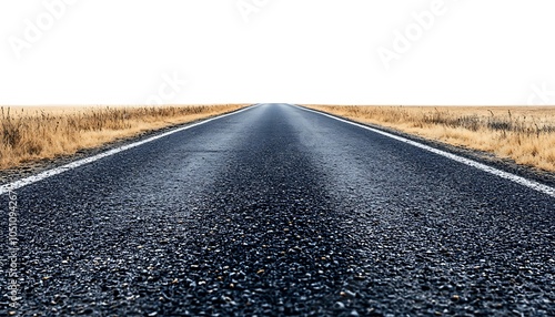 Wallpaper Mural A long, straight road stretching into the horizon, surrounded by dry grassland. Torontodigital.ca