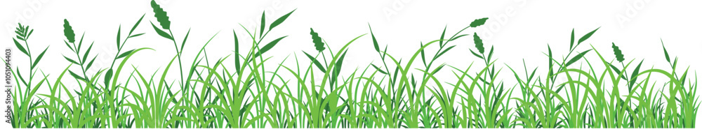 Fototapeta premium Illustration vector of green grass border, meadow springtime, Turf environment decoration element, Prairie Background