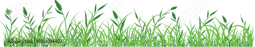 Illustration vector of green grass border, meadow springtime, Turf environment decoration element, Prairie Background